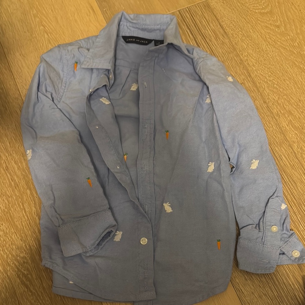 Janie and Jack Light Blue Button Down Shirt with Carrot Embroidery